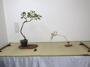 山柿、ナンキンナナカマド、鴨川石の席