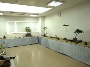 「北海道の盆栽づくり9月展」の開催と開花情報