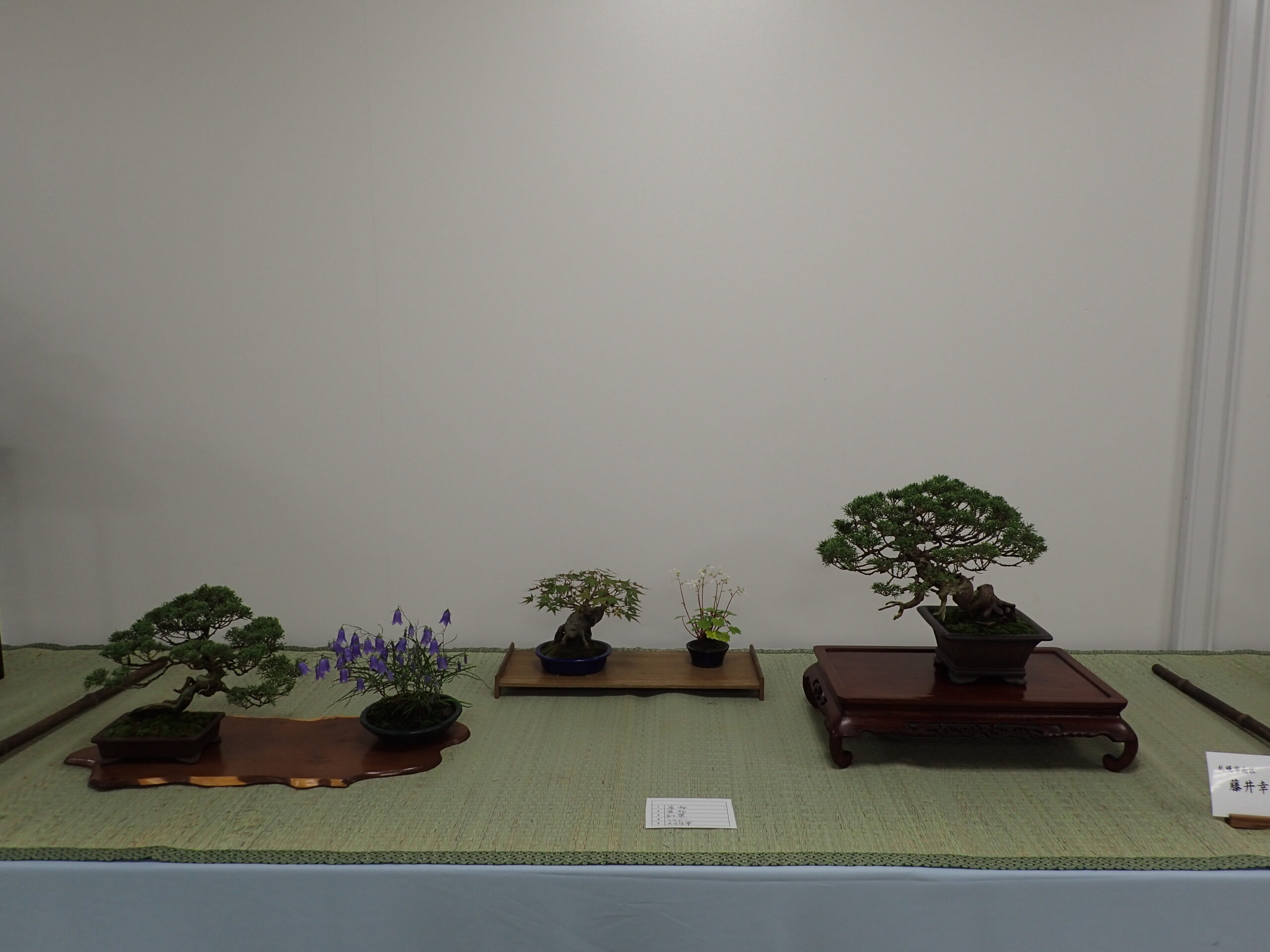 明日、10月11日より「盆栽展」がはじまります | 豊平公園 - 札幌市公園