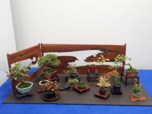 ミニ盆栽と秋らしい実もの盆栽