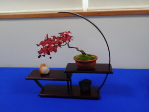 盆栽の他、タヌキの添配と水石で景色を創り出す