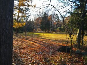 秋と冬の狭間の季節