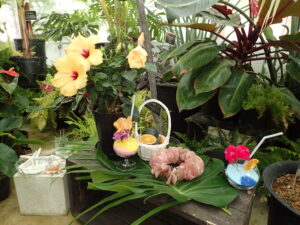 常夏のクリスマス
ハイビスカスやトロピカルジュースのイメージの飾りが登場