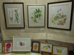 ボタニカルアート作品展示風景