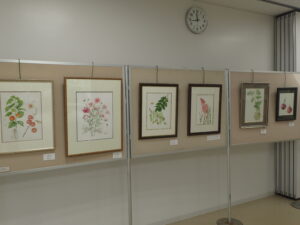 ボタニカルアートの作品が並んでいる様子