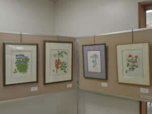 ボタニカルアートの額作品が4点並んでいる