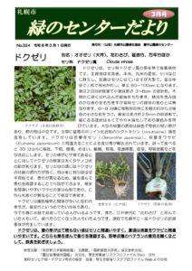 緑のセンターだより3月号表紙　ドクゼリ