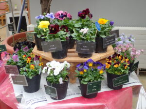 品種見本展示のコーナー ひとつひとつに名前のラベルが付いています。