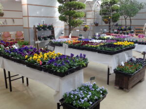 毎年好評の苗販売コーナーの様子