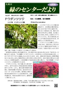 緑のセンターだより表紙 ドウダンツツジ(灯台躑躅)について