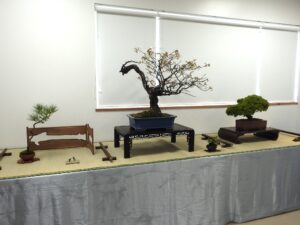 R8北海道の盆栽づくり5月展 展示風景