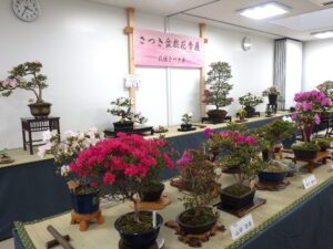 R8さつき花季展　会場内