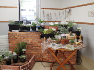 ハーブの鉢植えを飾り、栽培してすぐに収穫し、庭でティーパーティーの準備をしているようなイメージの展示