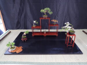 盆栽席飾り