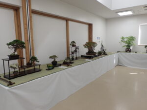 展示会全景