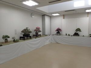 展示会全景