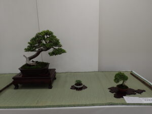盆栽席飾り