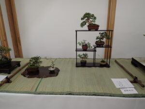 盆栽席飾り