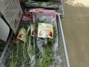 サツマイモのツル苗
袋入り　10本入りの様子