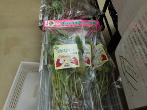 サツマイモ　シルクスイートのツル苗　袋入り