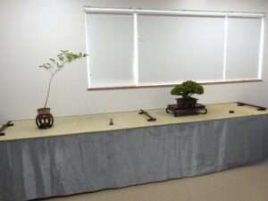 R8北海道の盆栽づくり6月展