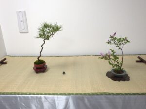 R8北海道の盆栽づくり6月展
