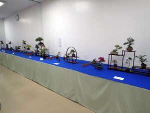 「春のミニ盆栽と山野草展」が始まります