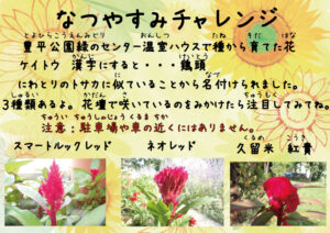 豊平公園緑のセンター夏休みチャレンジのイメージ