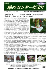 緑のセンターだより8月号表紙　ドクダミについての記事