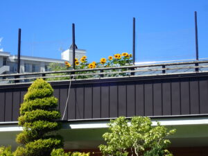 ひまわり 入口側