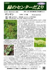 センターだより9月号表紙　取り扱う植物はギシギシ