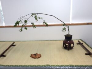 北海道の盆栽づくり9月展_ツリバナの席