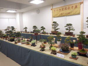 R8さつき秋季展