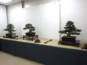 R8さつき秋季展2様子