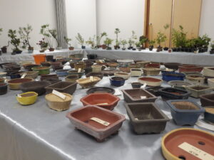 北海道の盆栽づくり9月展_販売品のコーナー