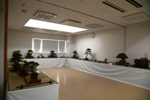 盆栽展メイン会場の全景
