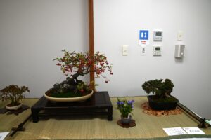 席飾り 秋ならではの実物盆栽