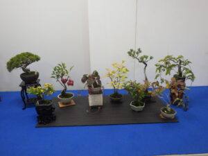 R8ミニ盆栽と山野草展 平飾り