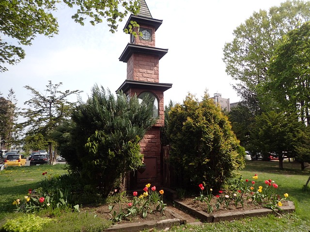 時計塔のチューリップ