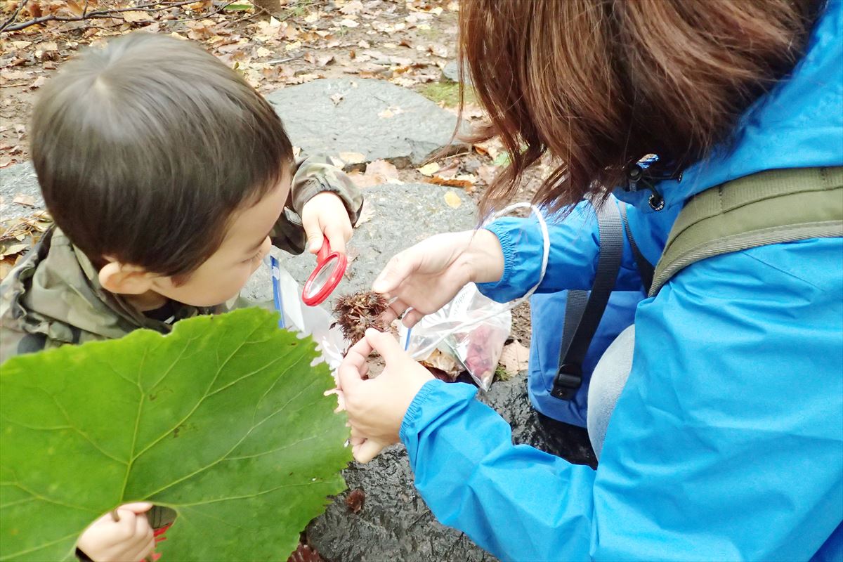 公園あそびらぼ2 (33)_R