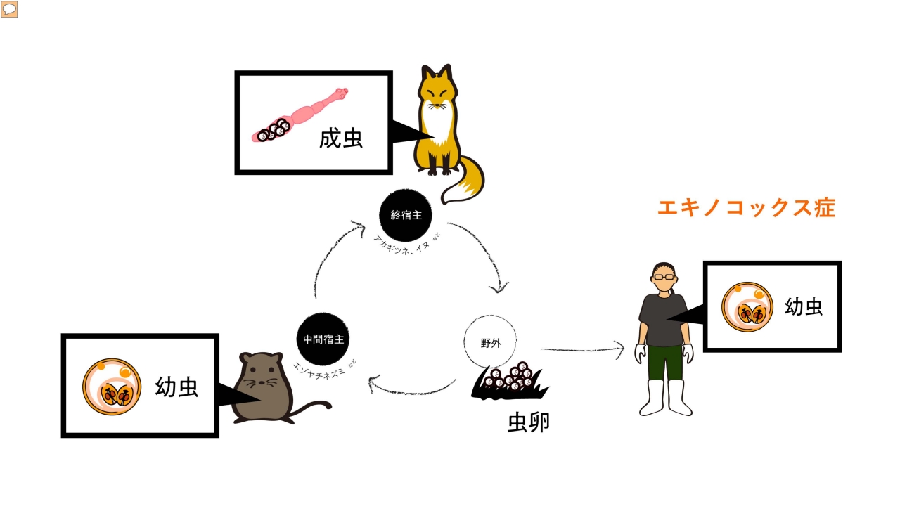 月寒豊平MTG_20200918_配布用_ページ_34