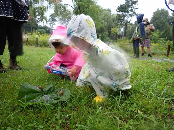かたつむりに遭遇_R