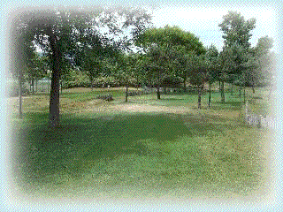 西パークゴルフコースのイメージ