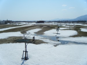 山口東パークゴルフ場雪景色