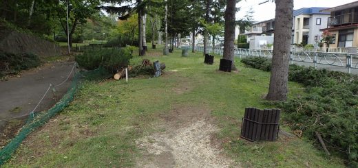 パークゴルフAコース