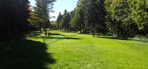 パークゴルフ場